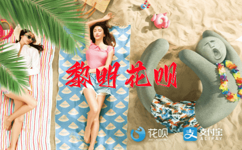 扮相不佳花呗